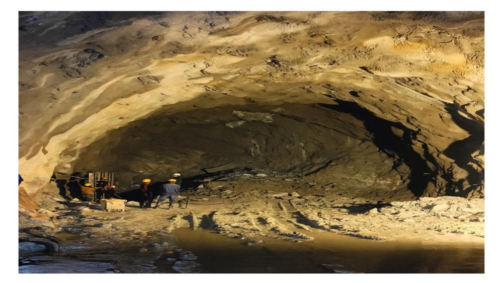 TRT-1 D/s from Surge Gallery