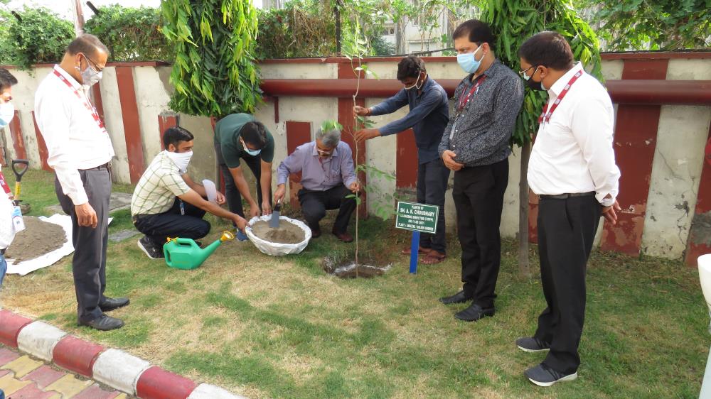 Plantation Drive at CVPPPL Corporate Office, Jamm...