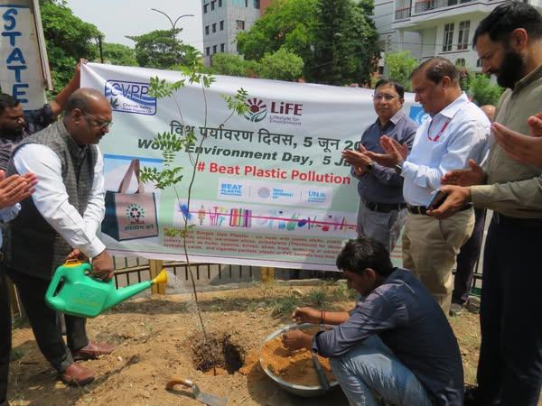 Celebration of World Environment Day 2025